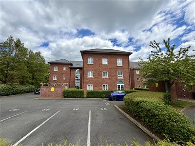 Picture 20